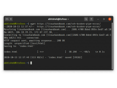linux下载文件到本地（2 种从 Linux 终端下载文件的方法）