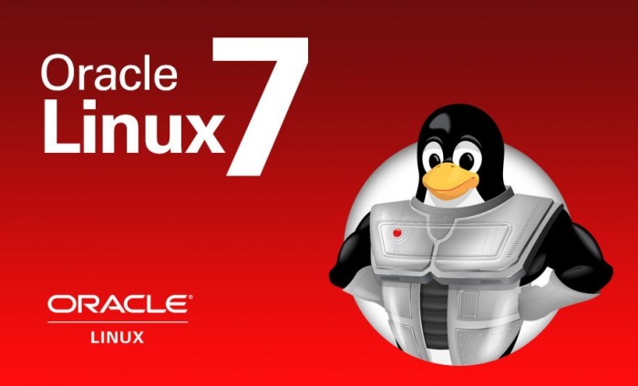 linux启动oracle数据库（Linux服务器上设置oracle数据库开机自启动）(1)