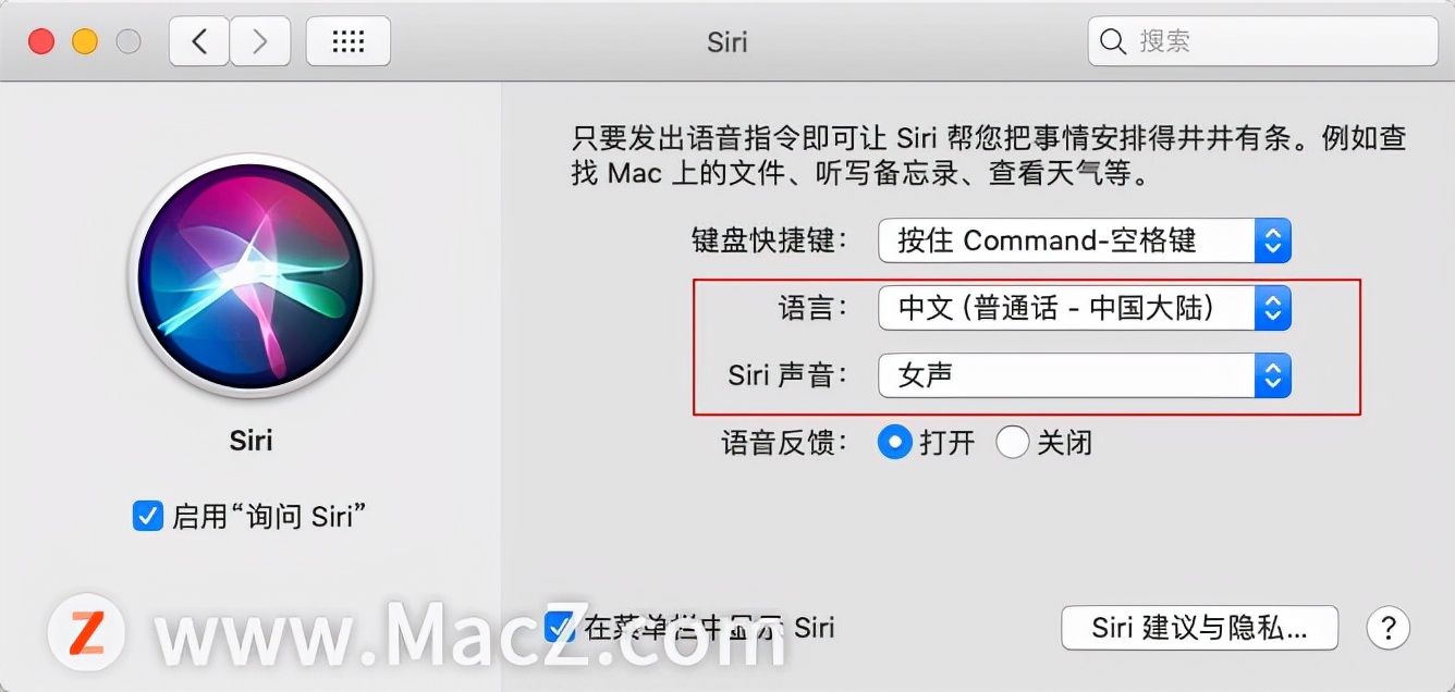 怎么关闭siri功能（如何在Mac上开启和关闭siri）(4)