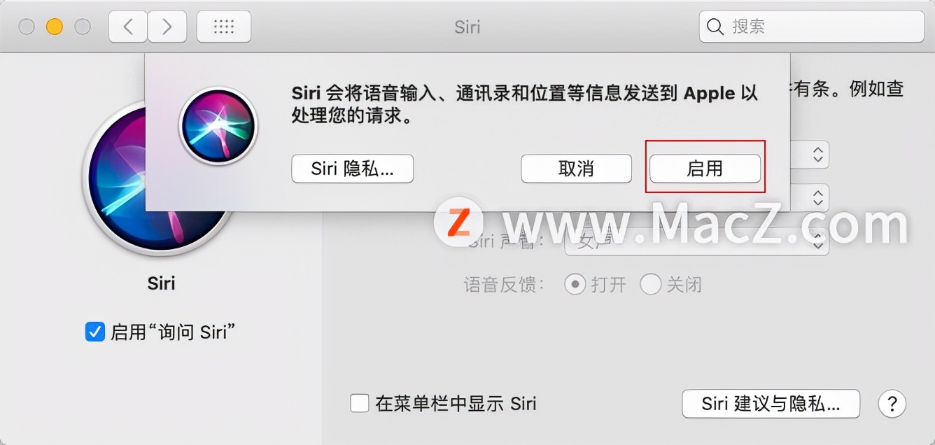 怎么关闭siri功能（如何在Mac上开启和关闭siri）(3)