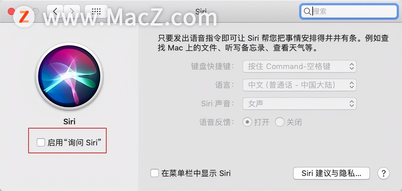 怎么关闭siri功能（如何在Mac上开启和关闭siri）(2)