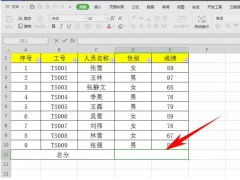 wps自动求和快捷键（wps表格如何快速归类求和）