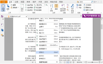 pdf无法打印怎么处理（pdf格式的文件怎么直接打印）(4)