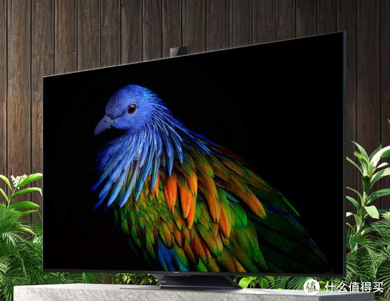 60英寸电视长宽是多少（2021年双11电视机选购价格避坑指南）(37)