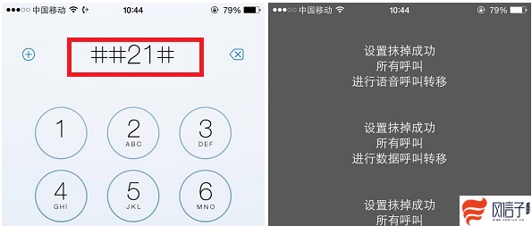 iphone呼叫转移怎么设置（苹果手机怎么设置单独的呼叫转移）(3)