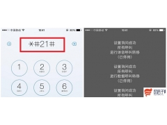 iphone呼叫转移怎么设置（苹果手机怎么设置单独的呼叫转移）