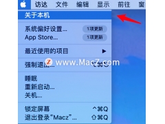 mac允许任何安装来源（Mac开启自动安装文件和安全性更新的方法）