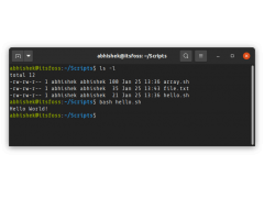 linux执行sh文件命令（如何在 Linux 中运行一个 Shell 脚本）
