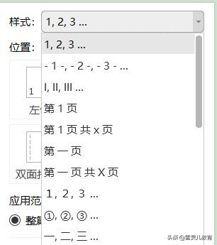 wps页码怎么设置（wps页码如何从指定页开始设置）(4)