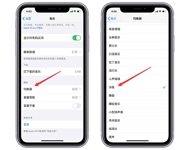 iphone声音小怎么办（iphone用久了声音小怎么设置）(3)