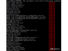 linux开机启动项（Linux系统中如何查看并设置开机启动项）