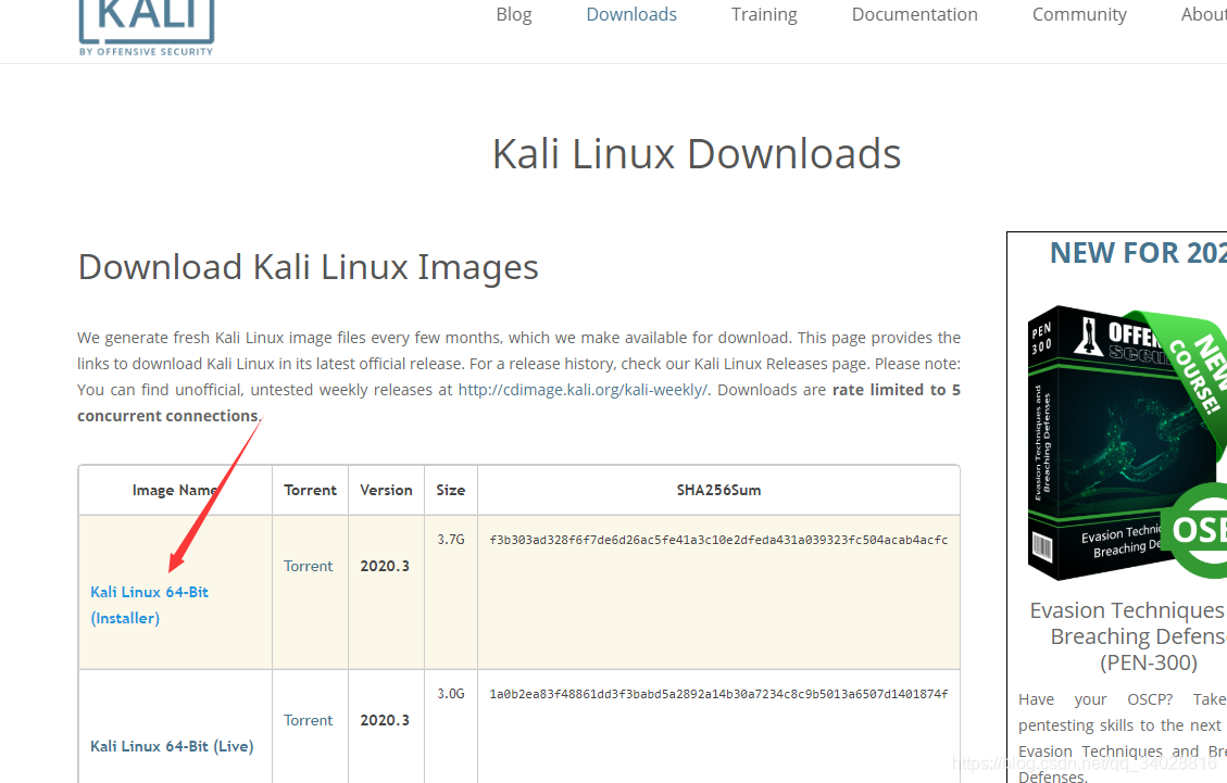 u盘安装kali（Kali linux下载与安装教程）(2)