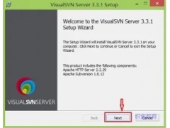 svn服务器安装和配置（Windows下SVN服务器配置详解）