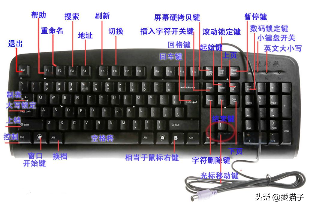 电脑的粘贴复制快捷键（电脑快捷键大全一览表）(1)
