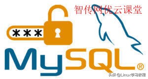 mysql重置密码命令（如何重置mysql用户名密码）(2)