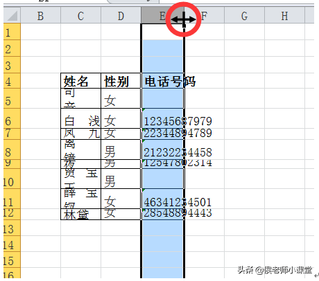 在Excel表格中行高的快捷键（如何调整excel表格的行高与列宽）(9)