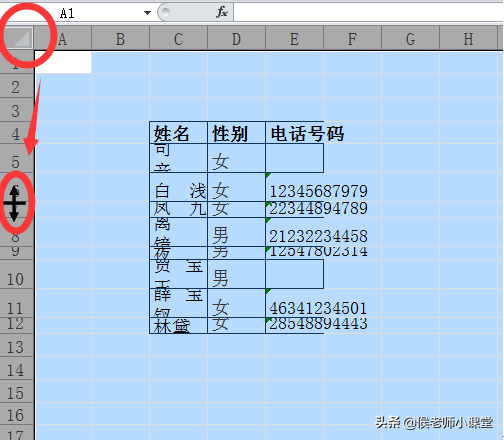 在Excel表格中行高的快捷键（如何调整excel表格的行高与列宽）(2)