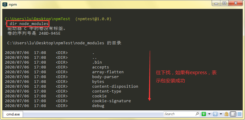 怎么安装npm（npm包正确安装方法）(2)