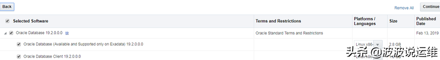 oracle数据库下载安装教程（oracle19c抢鲜下载和安装）(2)
