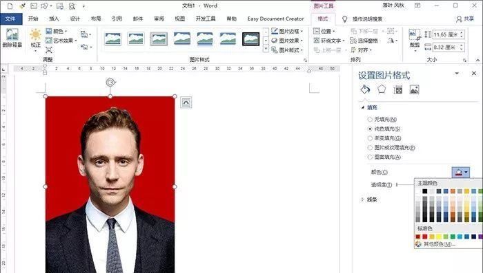 word底色怎么设置（word替换证件照背景详细步骤）(4)