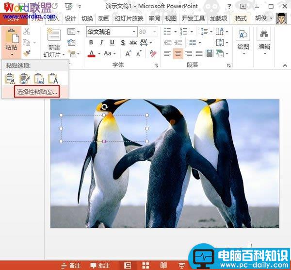 PowerPoint2013中设置文本背景填充效果