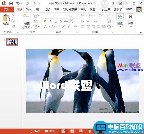 PowerPoint2013中设置文本背景填充效果