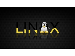 linux删除文件夹命令（在 Linux 终端中删除文件和文件夹）