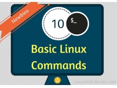 linux基本命令的目录（Linux 新手必知必会的 10 条 Linux 基本命令）