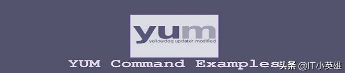yum卸载包命令（yum工具对软件包安装与删除和更新介绍）(1)