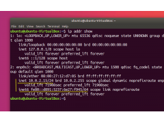 ubuntu查看ip地址命令（如何在 Ubuntu 中检查你的 IP 地址）