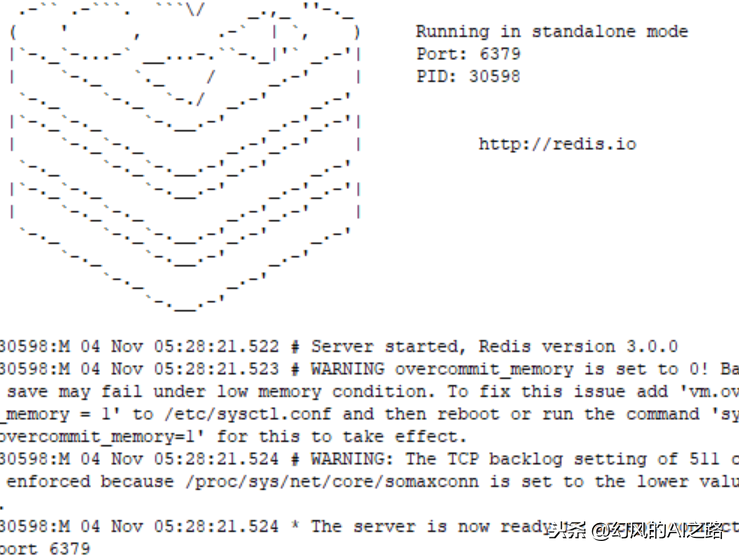 linux安装redis详细教程（Linux环境下对中间件redis进行安装和配置）(12)
