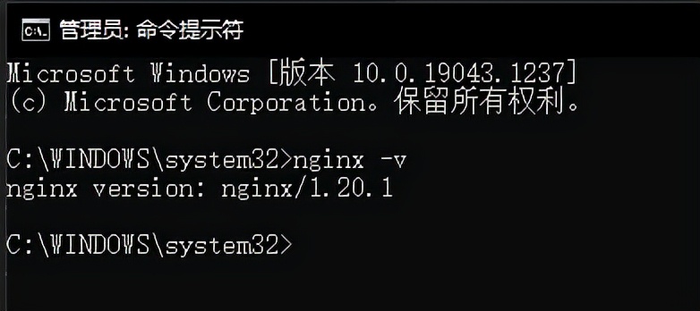 windows安装nginx（windows下安装nginx服务器步骤）(5)