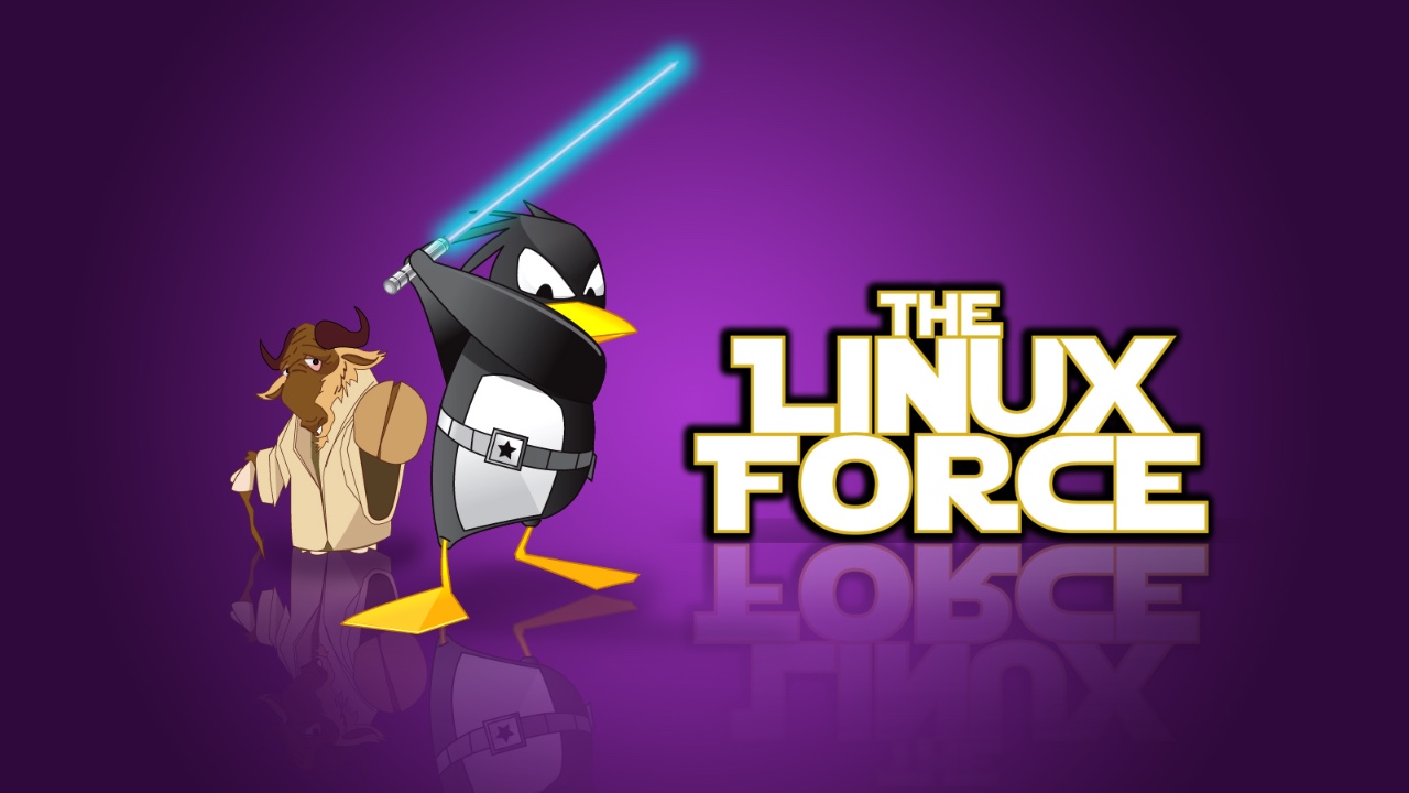 linux指令所在文件（用户必会的 20 个 Linux 基础命令）(1)