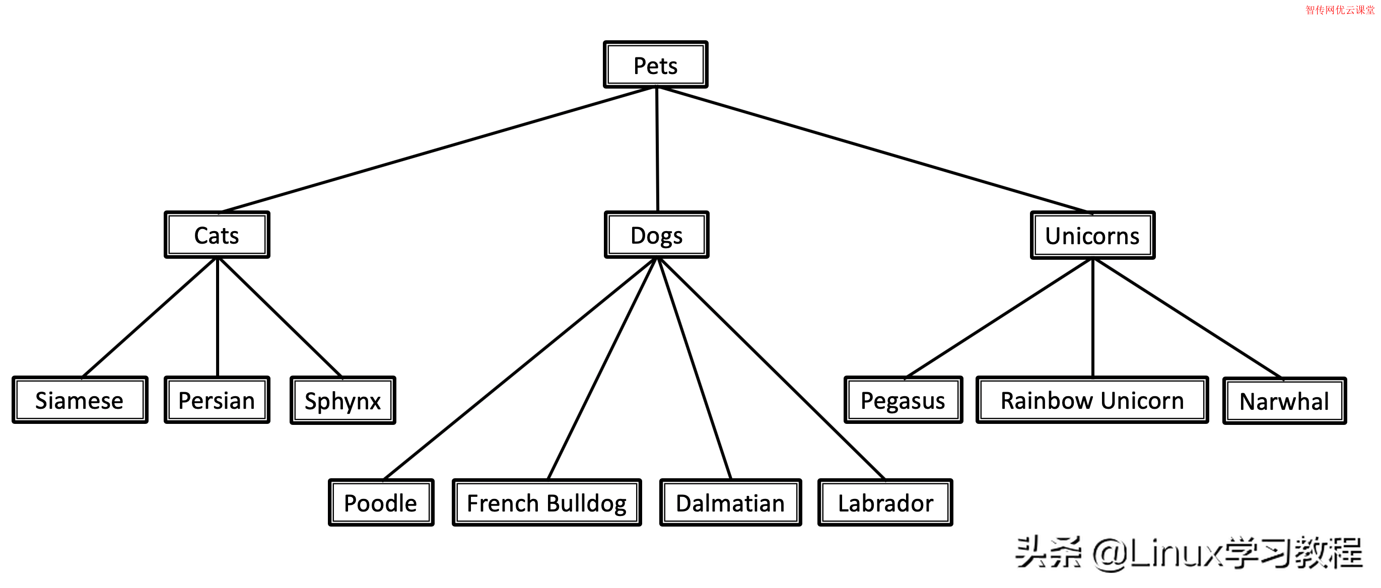 tree命令怎么使用（Linux tree 命令详细使用说明）(1)