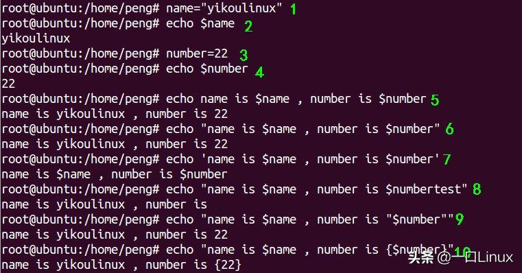 linuxshell编程怎么运行（linuxshell编程入门教程学习）(1)