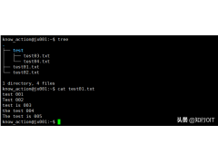 grep命令的使用（linux系统中的grep命令详解）
