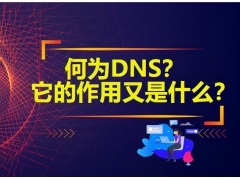 域名dns的作用是什么（dns中文名称及其作用）