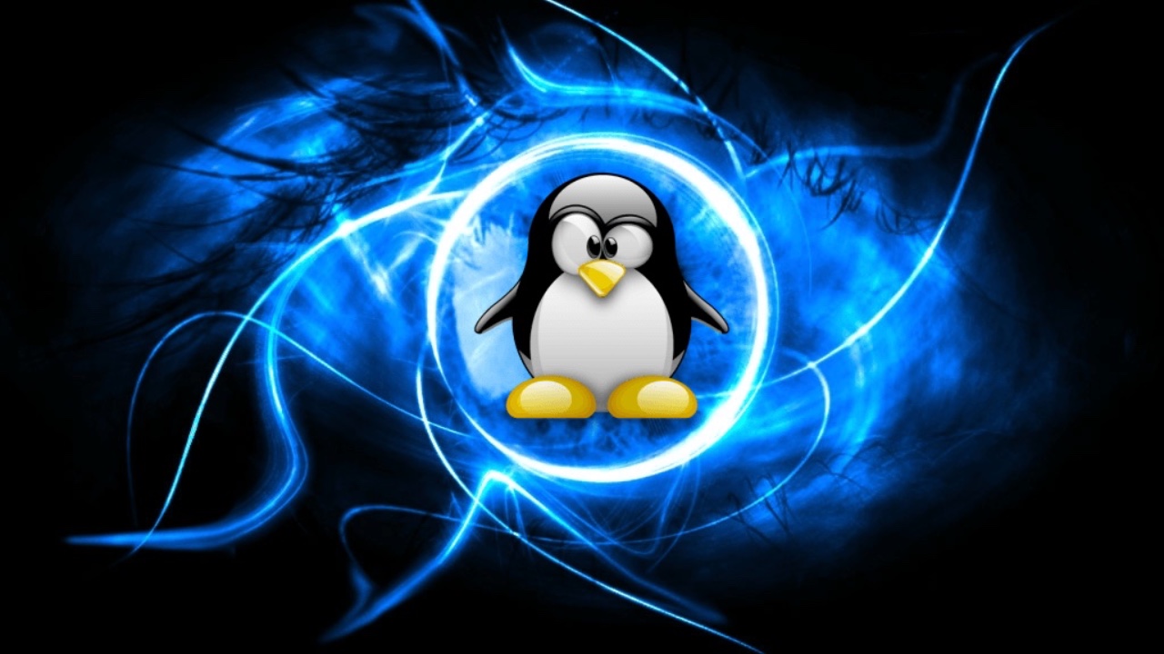linux移动文件到指定目录夹到另一个文件夹（在 Linux 终端中移动文件）-第1张图片-90博客网