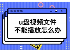 u盘视频为什么放不出来（u盘视频文件不能播放怎么办）