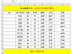 excel表格怎么自动生成序号（Excel中自动序号的生成技巧）