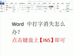 word文字处理基本操作（6个Word文字处理技巧）