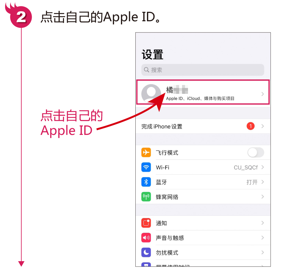 如何退出苹果id账号（苹果手机快速退出Apple ID的方法）(2)