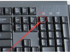 键盘右边数字按不出来怎么回事（键盘右侧的小键盘失灵了怎么办）