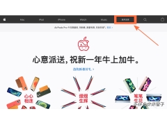 忘记id密码登不上去怎么办（忘记了Apple ID账户密码怎么办）