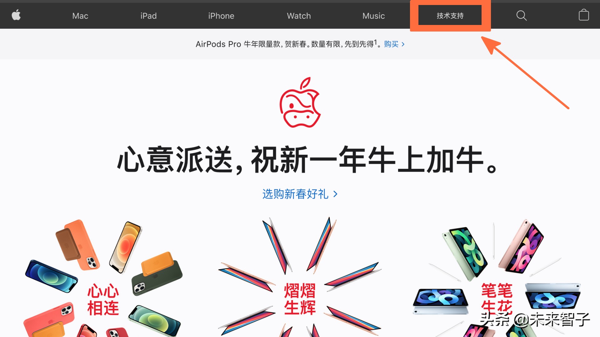 忘记id密码登不上去怎么办（忘记了Apple ID账户密码怎么办）(1)