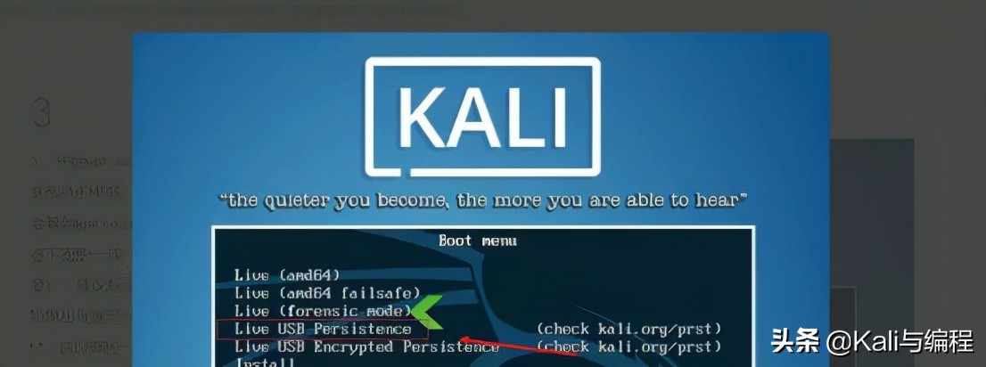 kali linuxu安装到盘怎么无法启动（Kali Linux操作系统从U盘成功启动）(15)