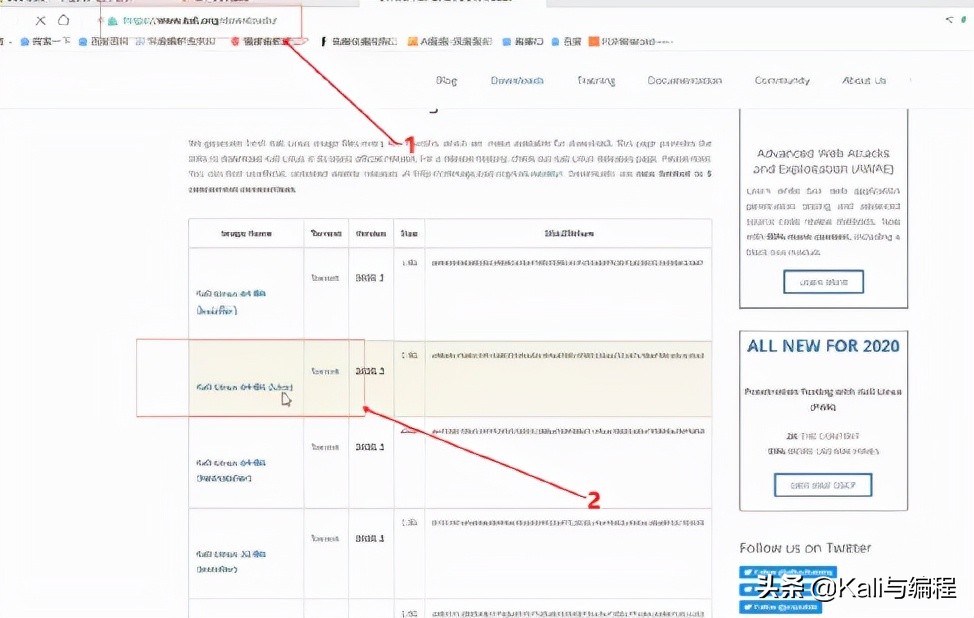 kali linuxu安装到盘怎么无法启动（Kali Linux操作系统从U盘成功启动）(1)