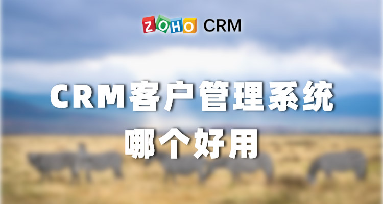 crm客户管理系统哪个好用（免费crm客户管理系统推荐）(1)