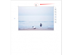 word怎么旋转图片（word里怎么任意旋转方向图片）