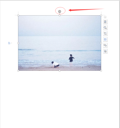 word怎么旋转图片（word里怎么任意旋转方向图片）(1)